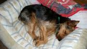20150802210009