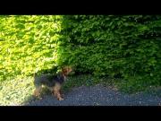 VID 20180425 092621
