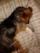 IMG-20140815-WA0000